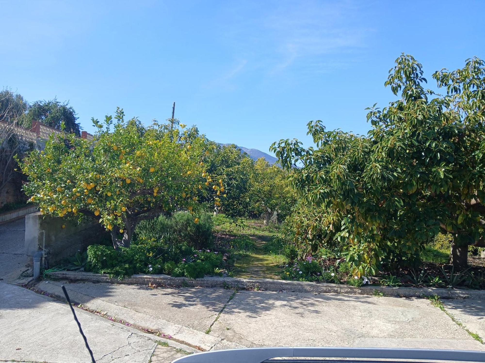 Finca Vista El Montanes - Malaga — Fotos 2